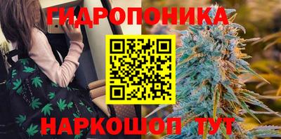 таблы Кингисепп
